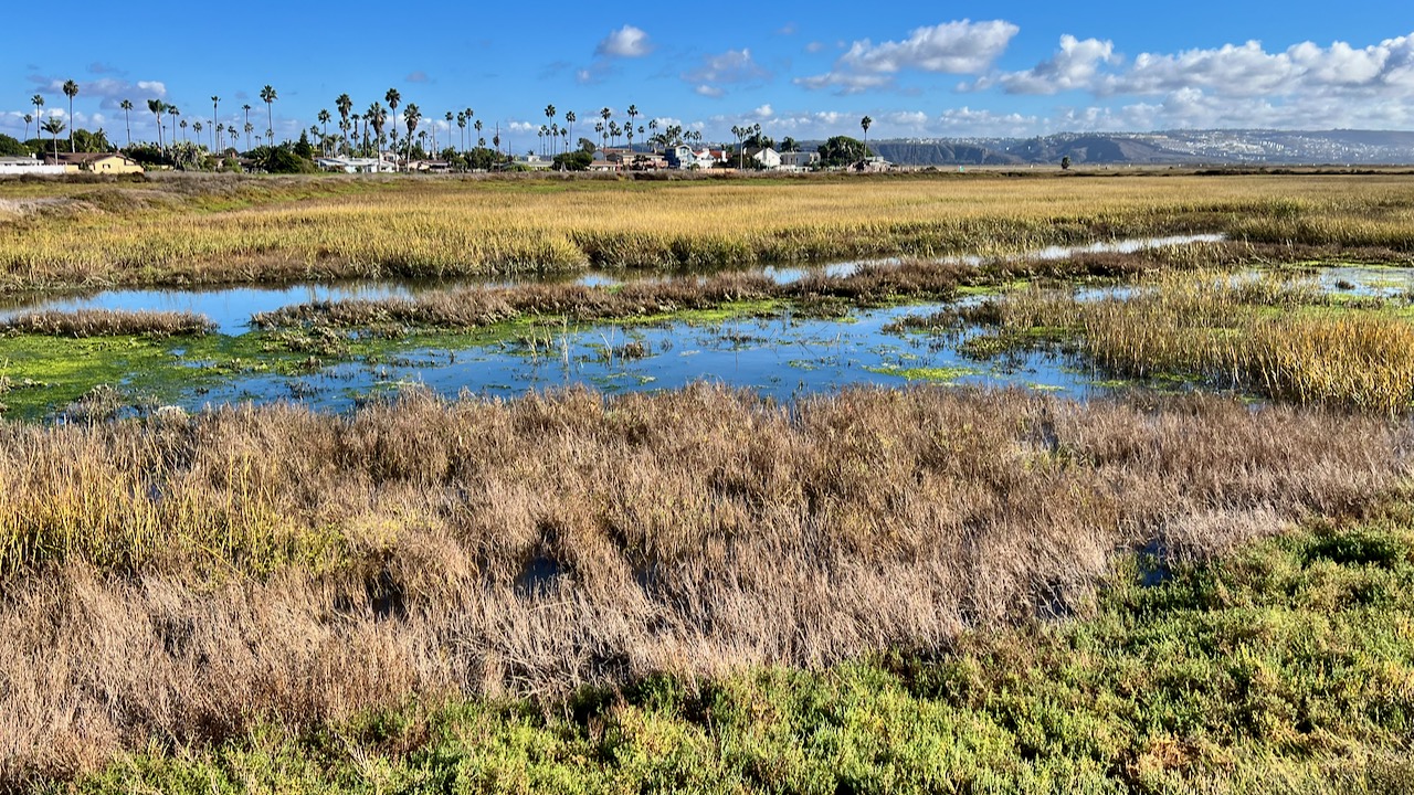 Wetlands