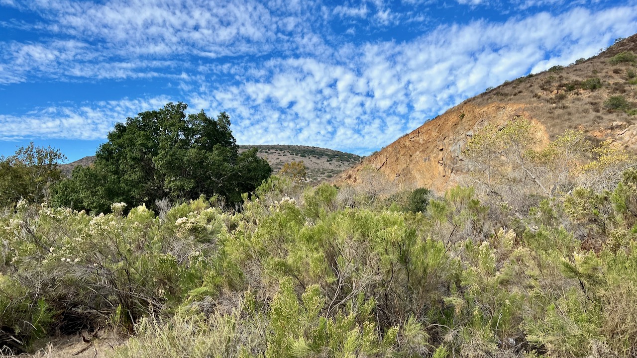 Trail View