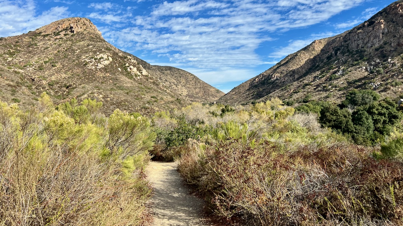 Trail View