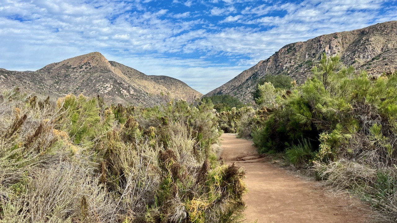 Trail View