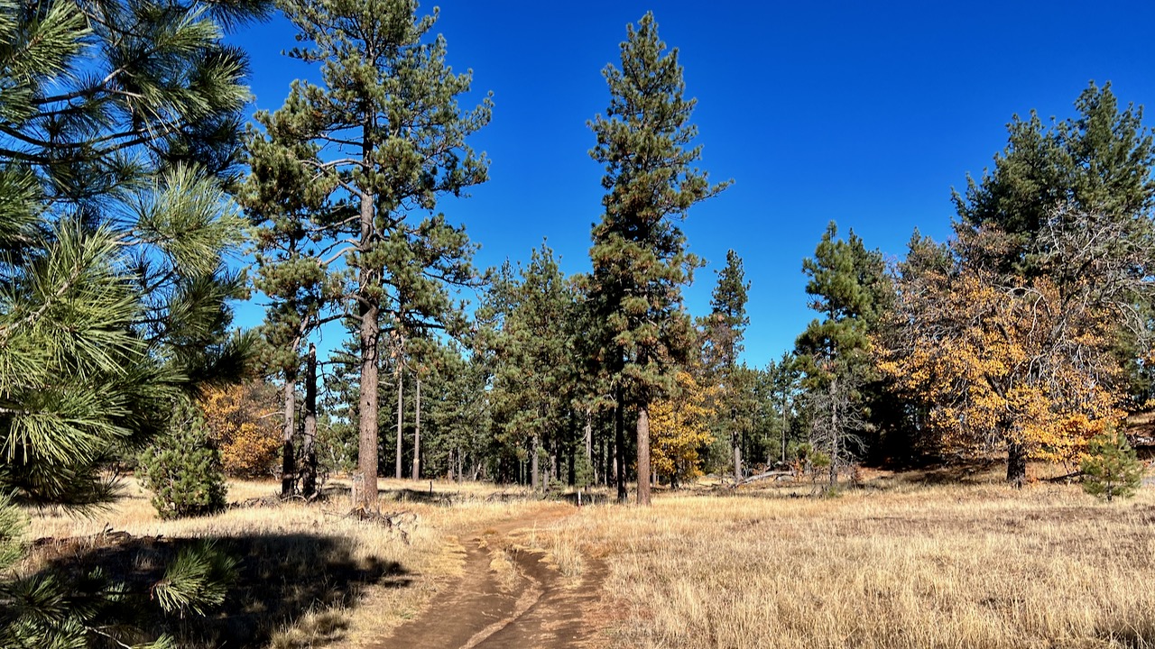 Trail View