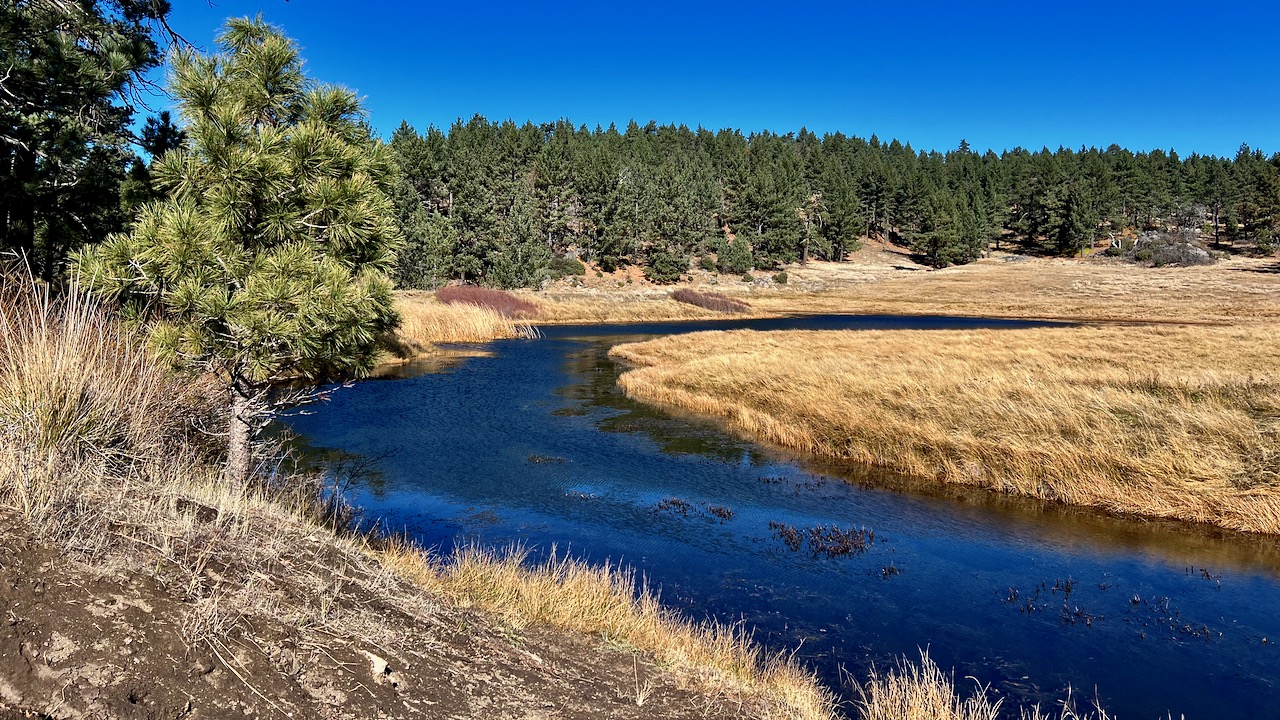 Los Rasalies Lake