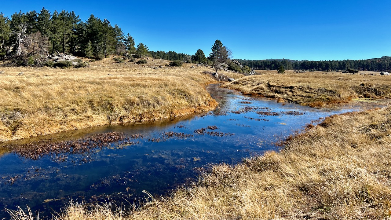 Los Rasalies Lake