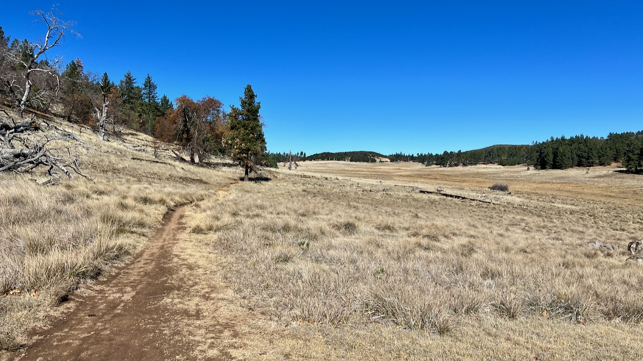 Trail View