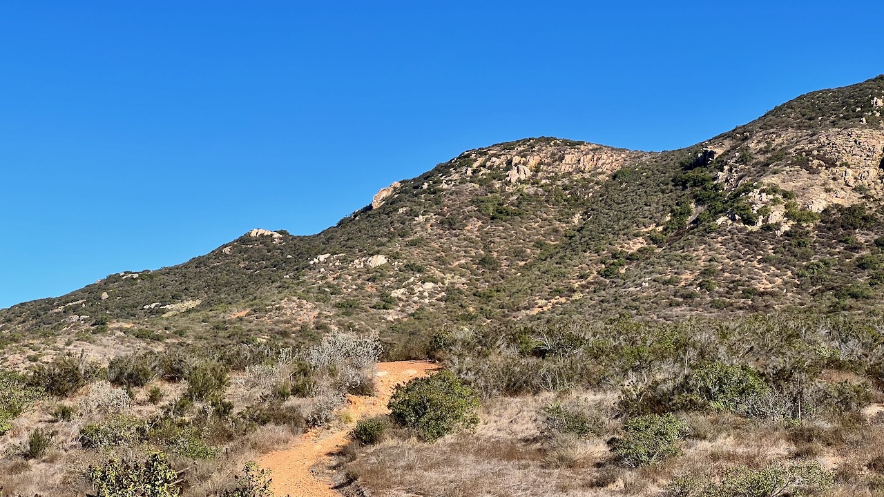 Trail View