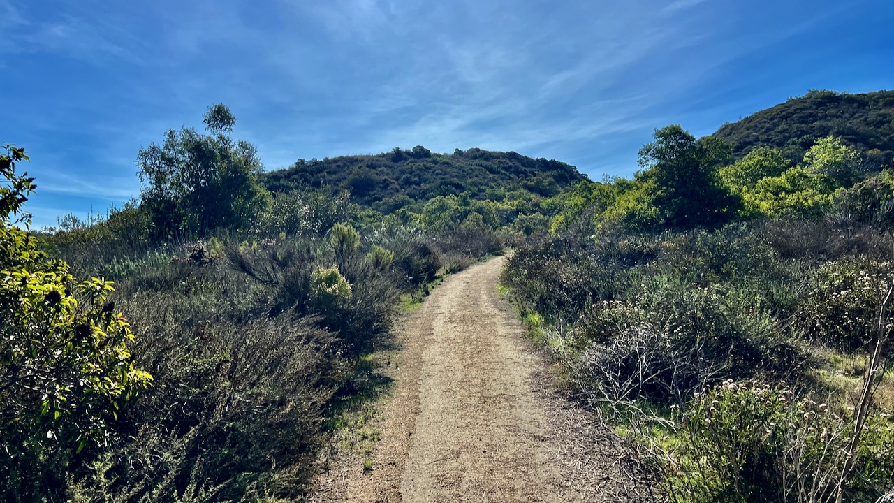 Trail View