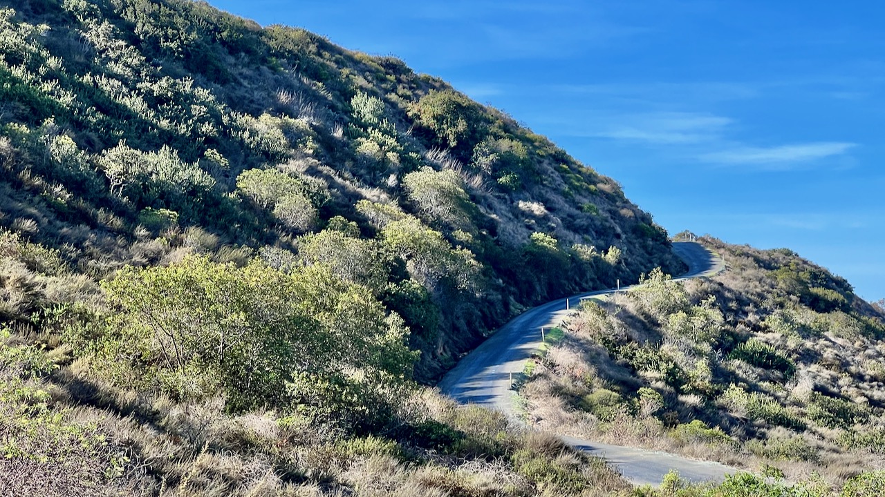 Trail View