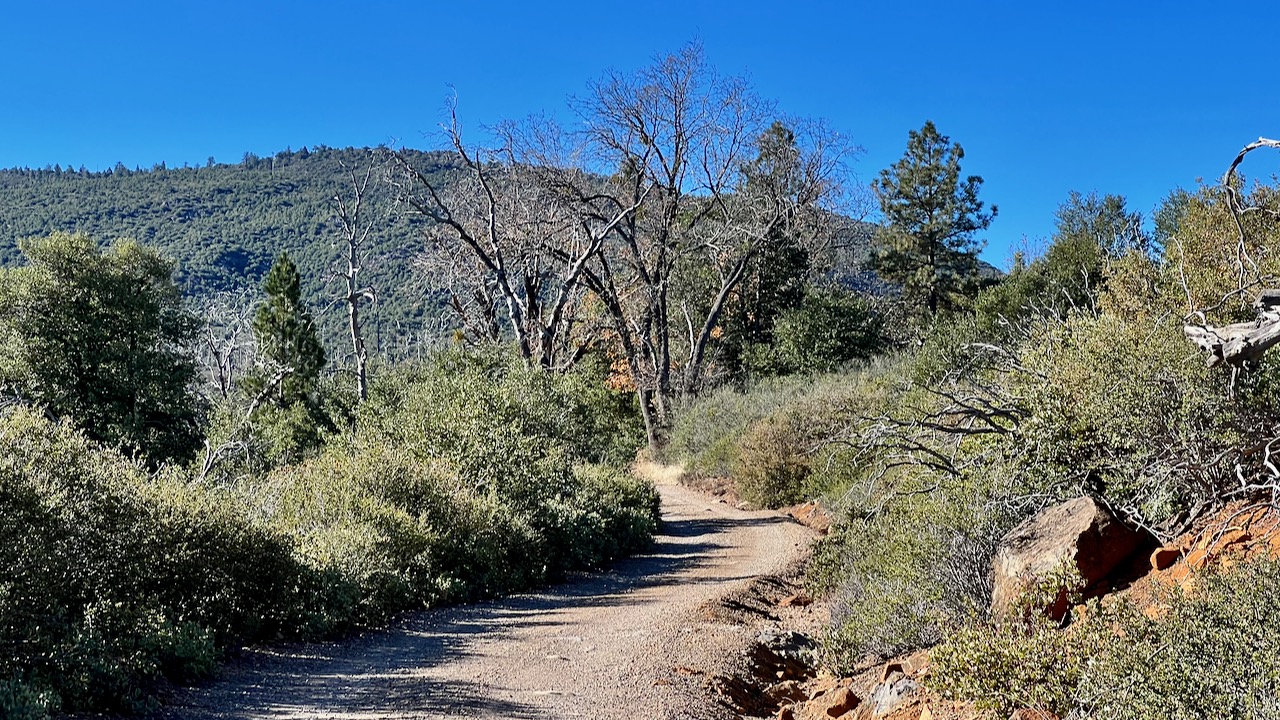 Trail View