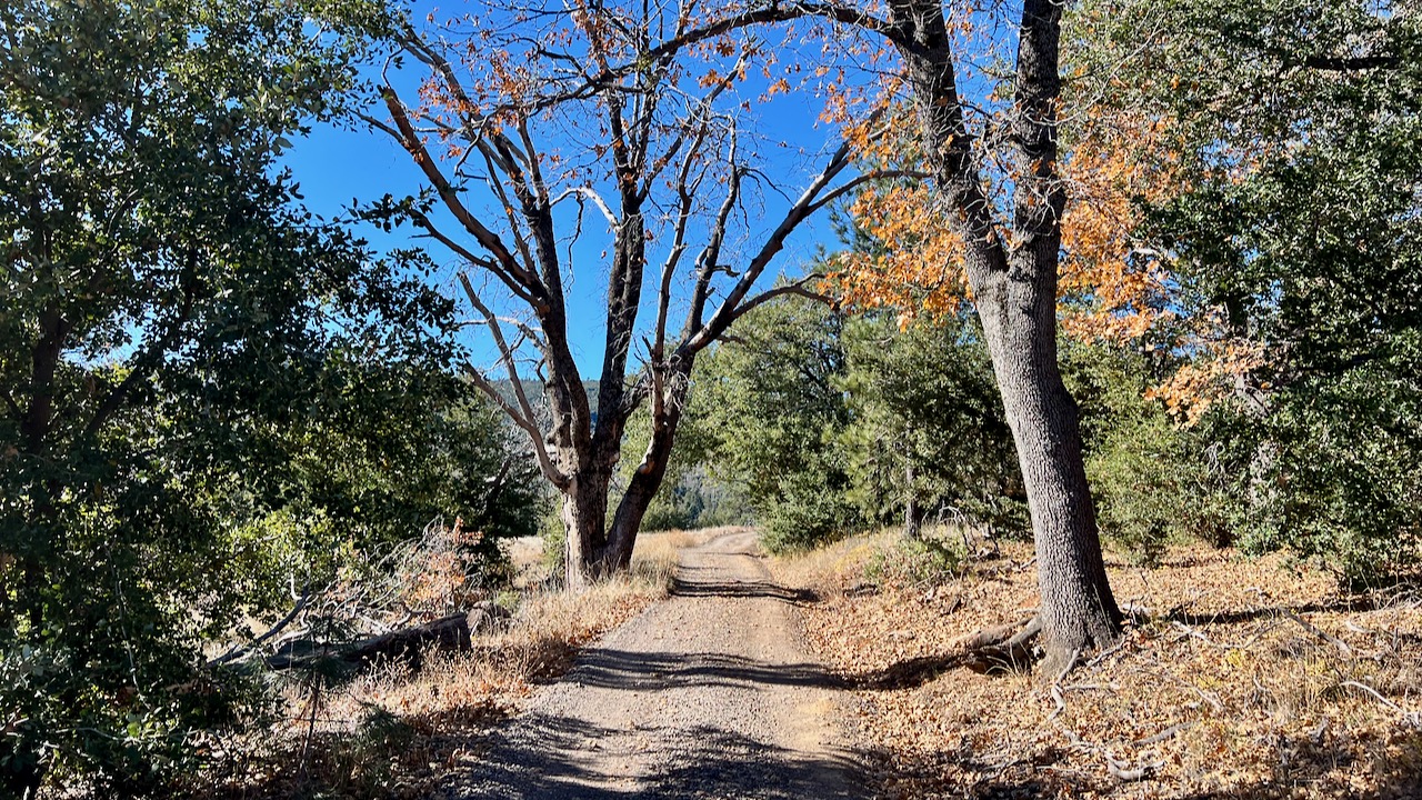 Trail View