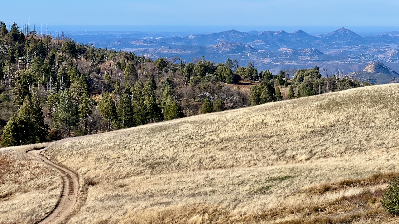 Trail View