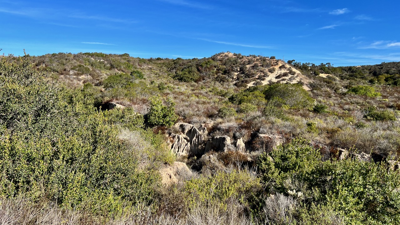 Trail View