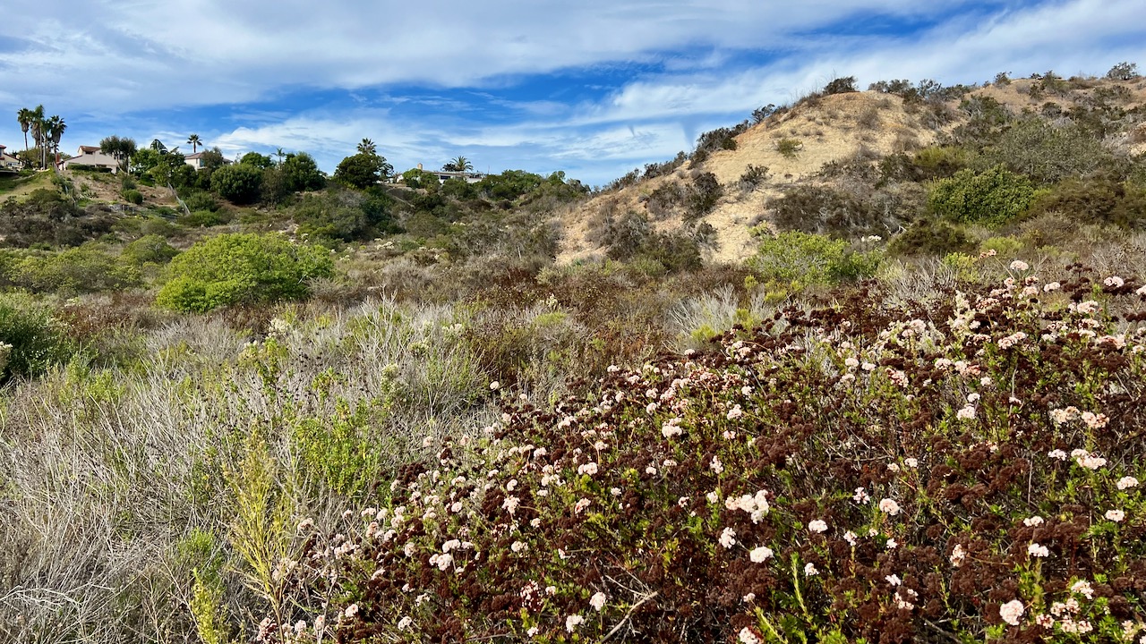 Trail View