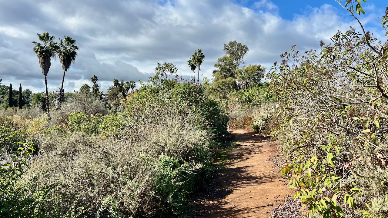 Trail View