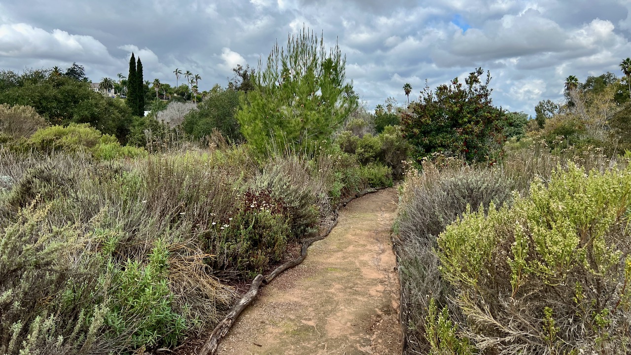 Trail View