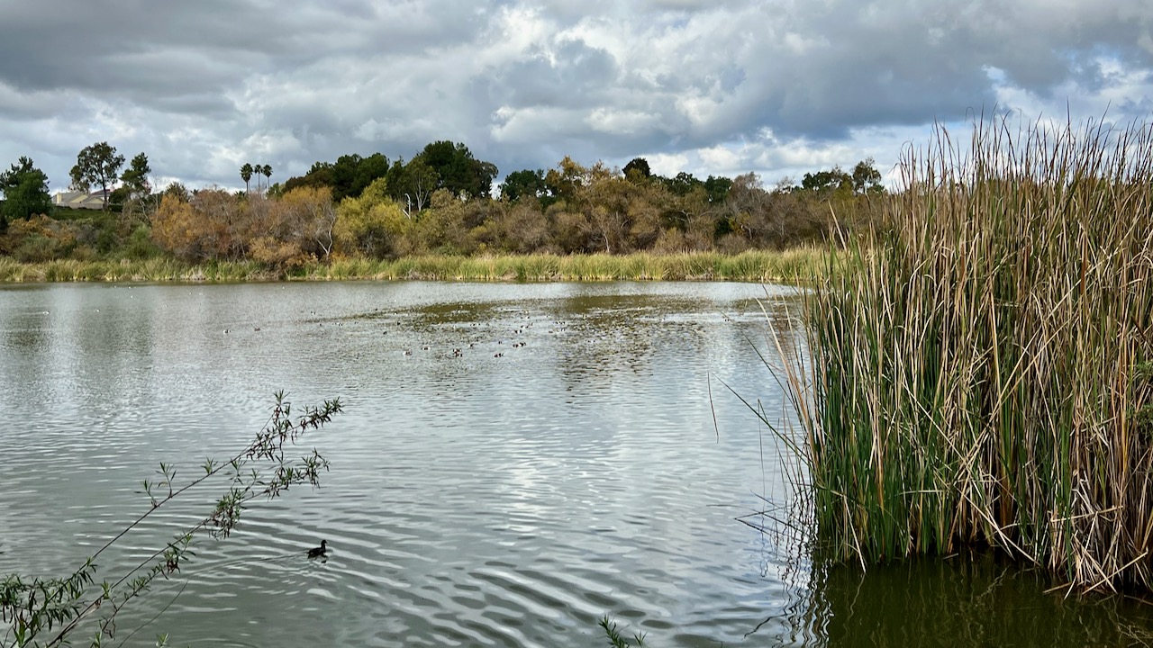 Guajome Lake