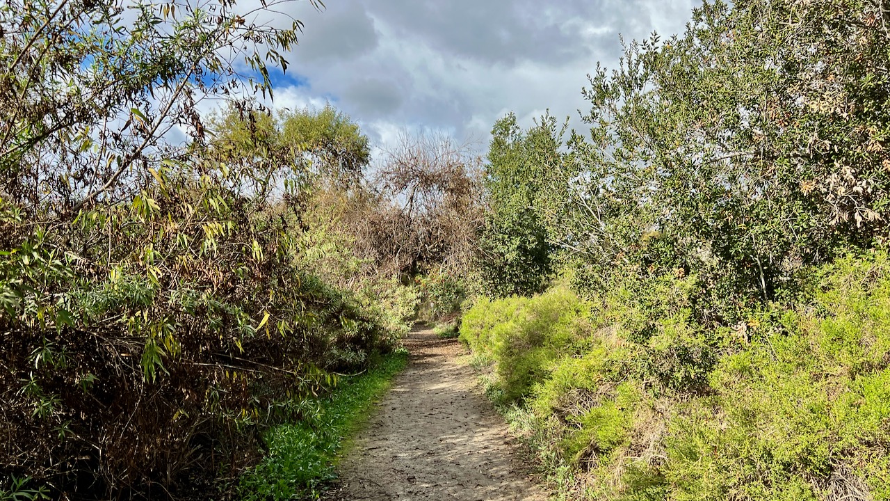 Trail View