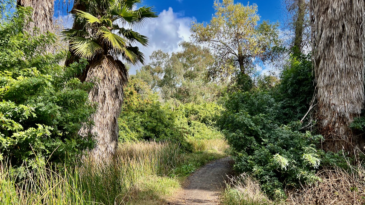 Trail View