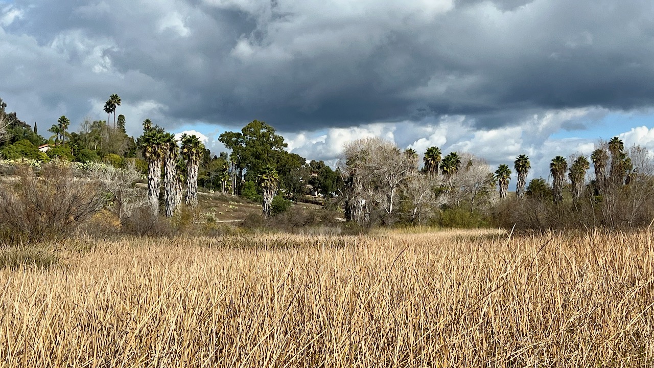 Trail View