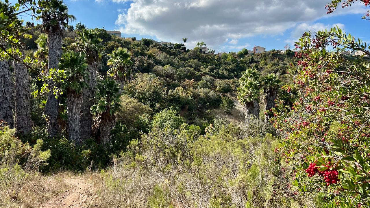 Trail View