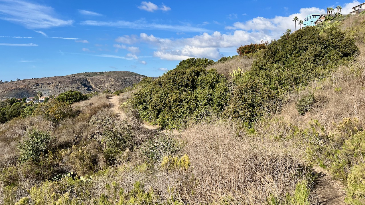 Trail View