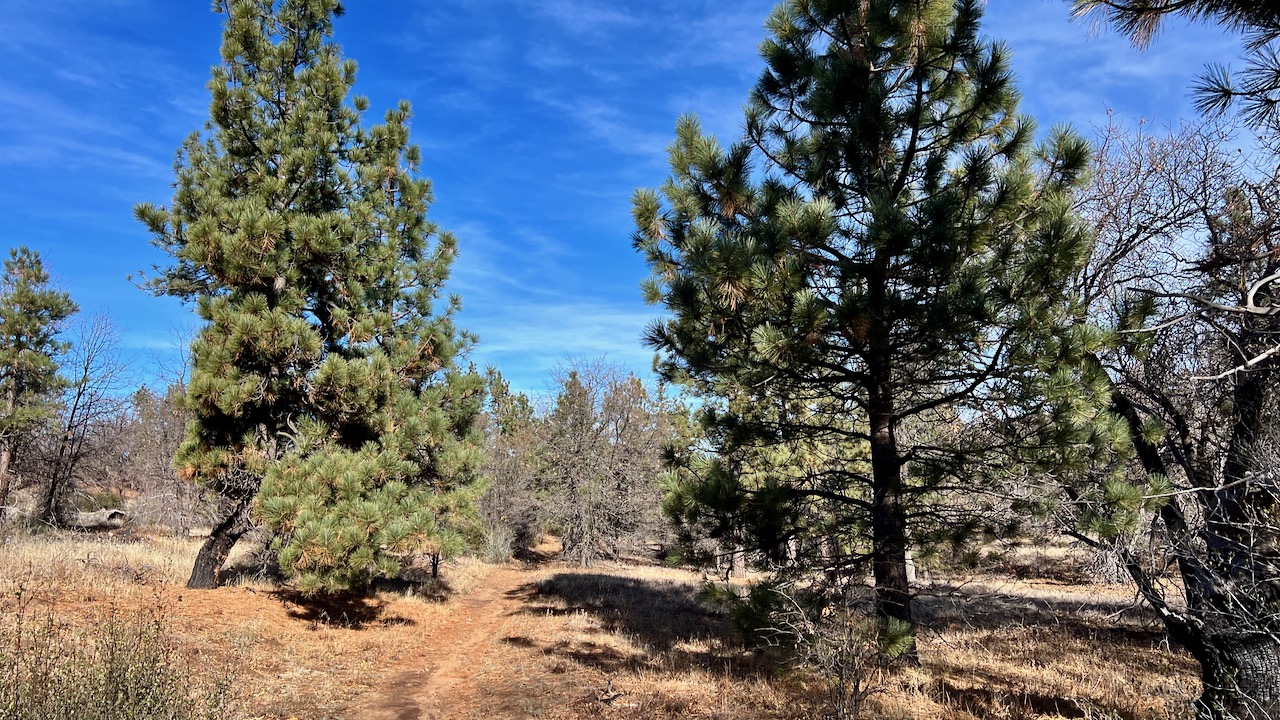 Trail View