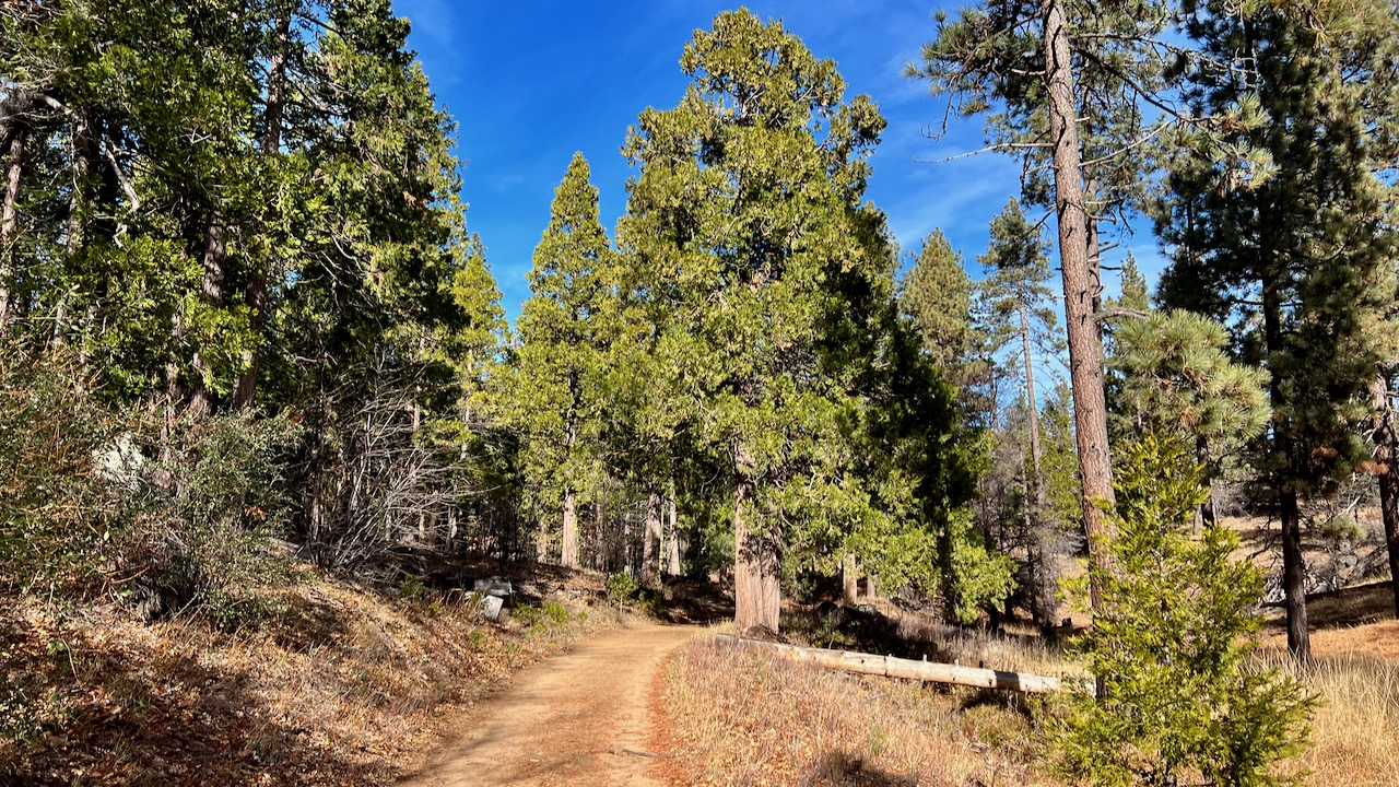 Trail View