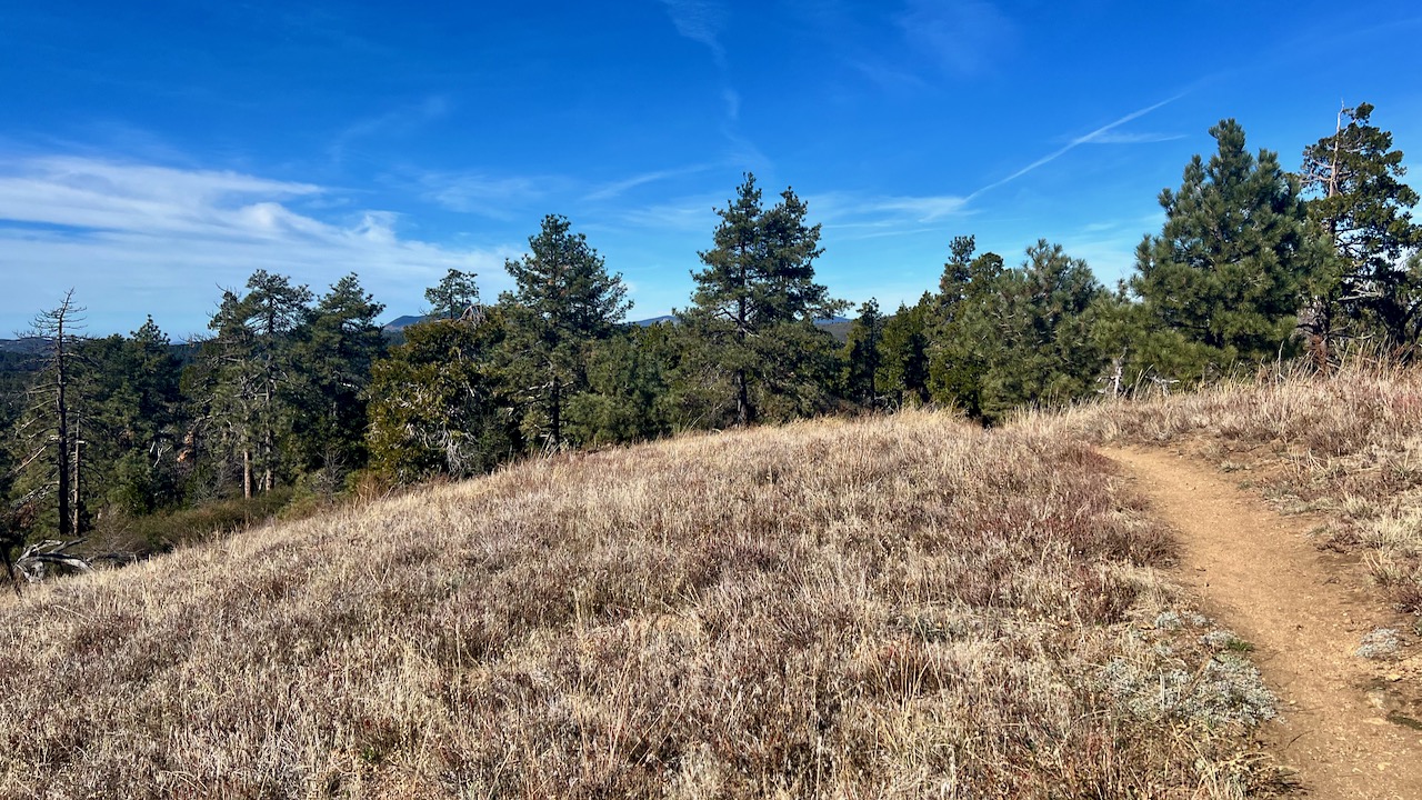 Trail View