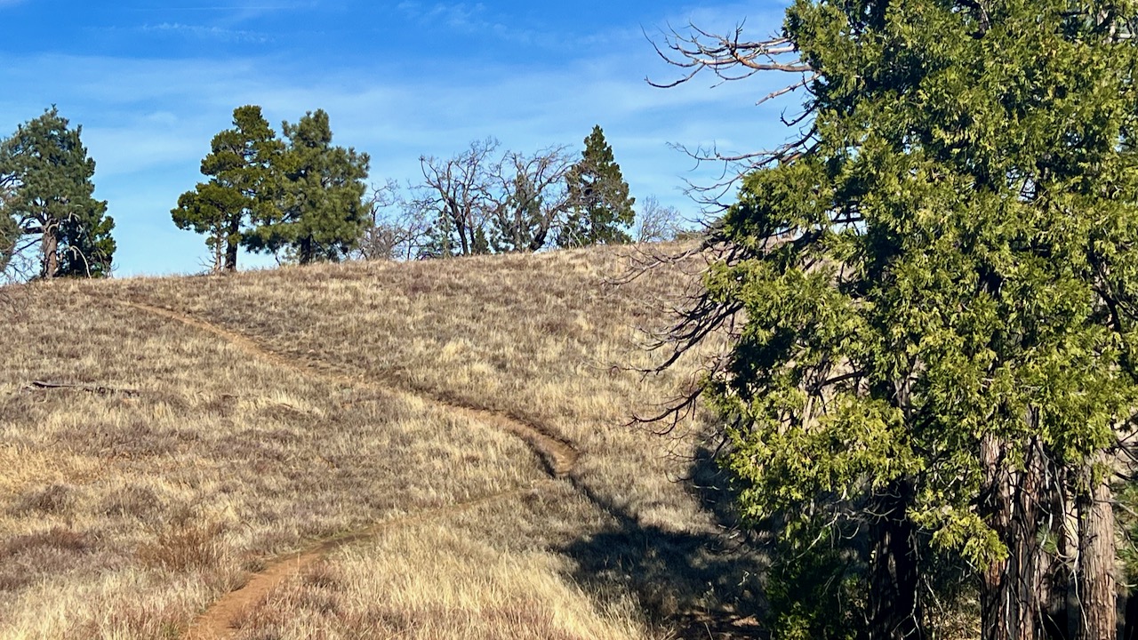 Trail View