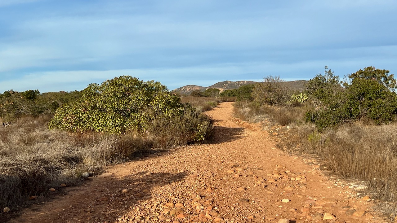 Trail View