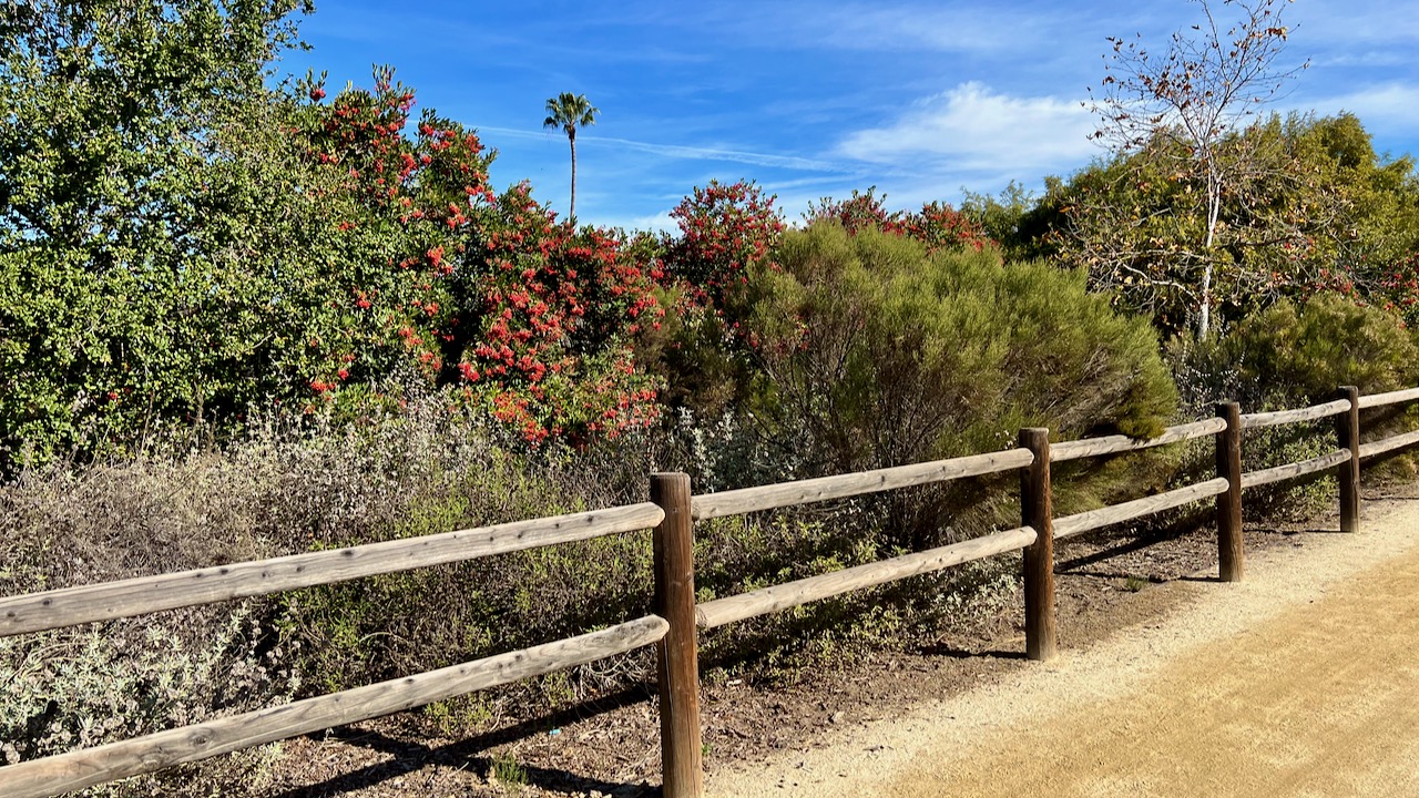 Trail View