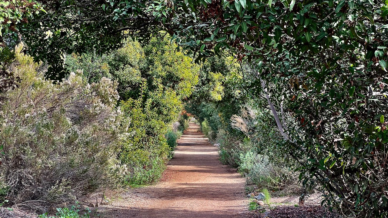 Trail View