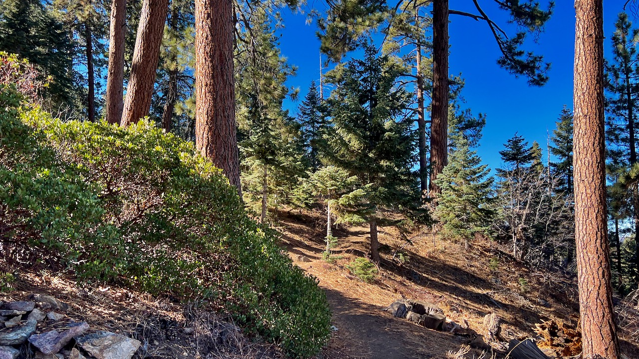 Trail View