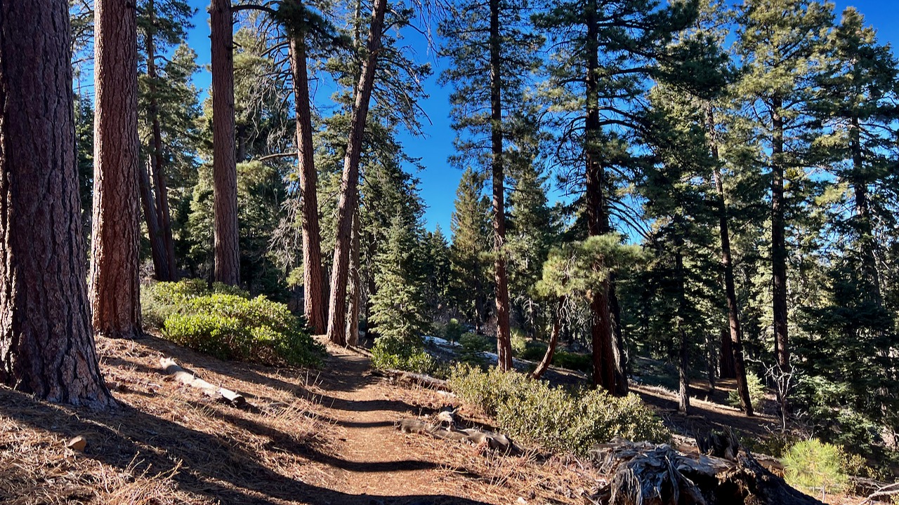 Trail View