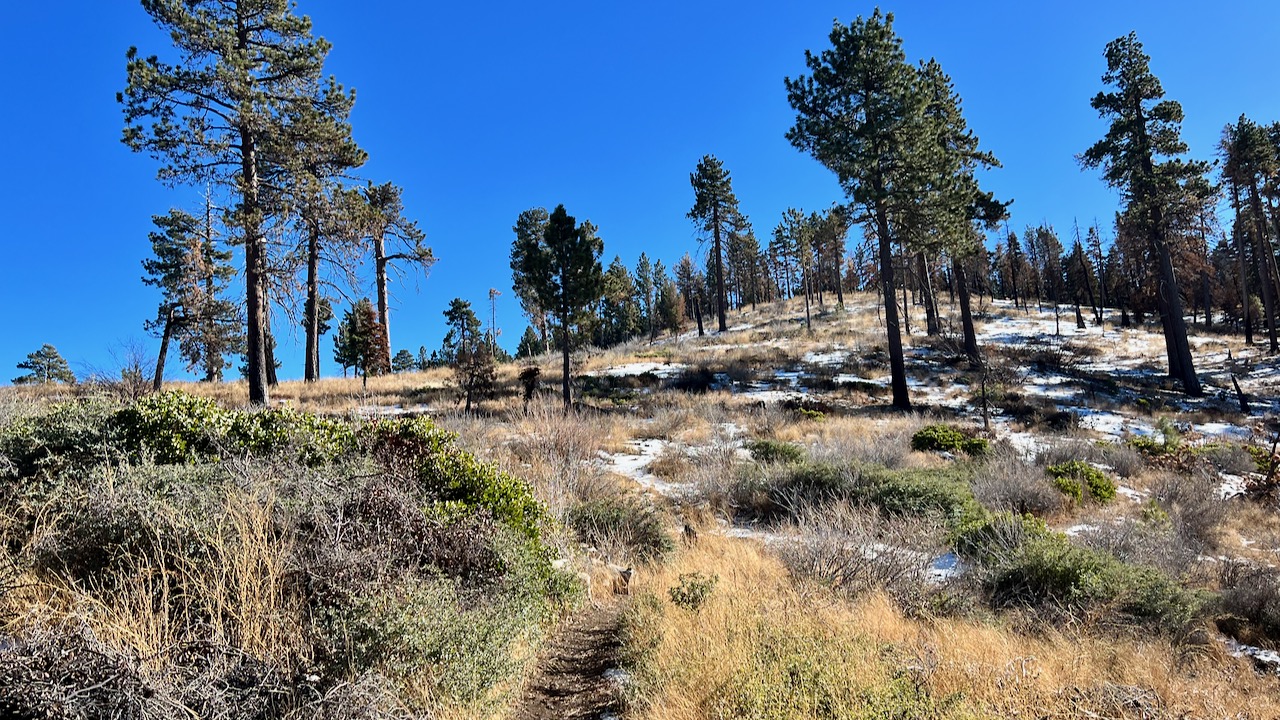 Trail View