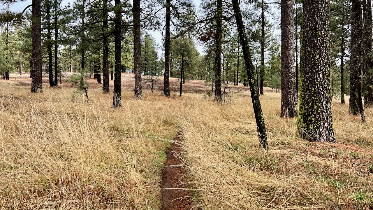 Trail View