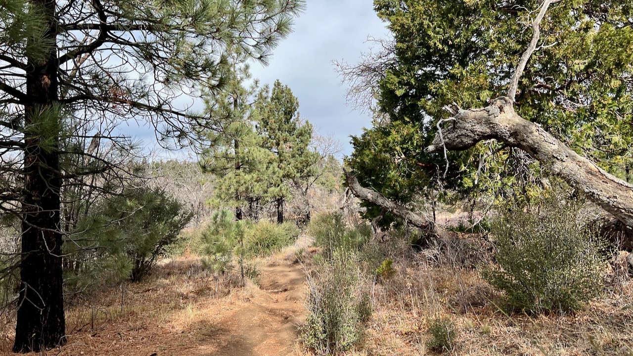 Trail View