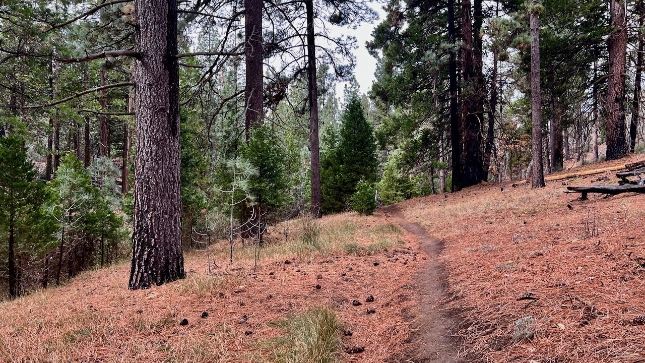 Trail View