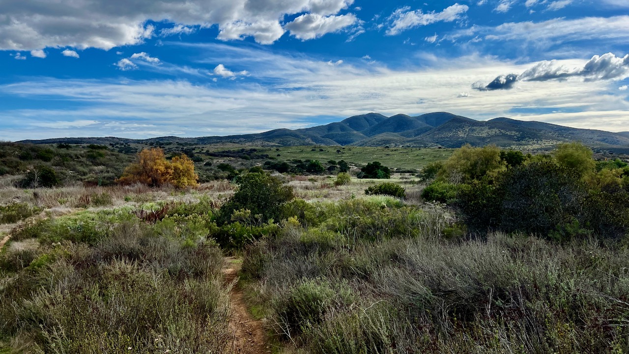 Trail View