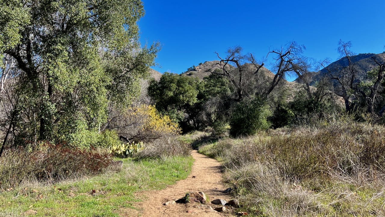 Trail View