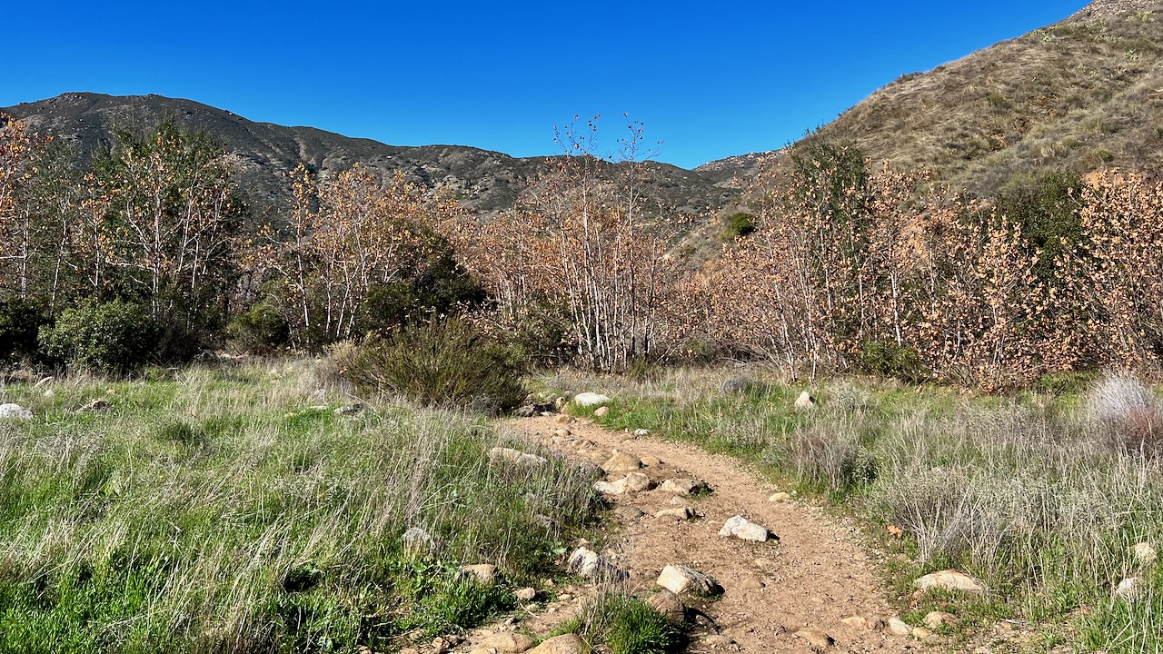 Trail View