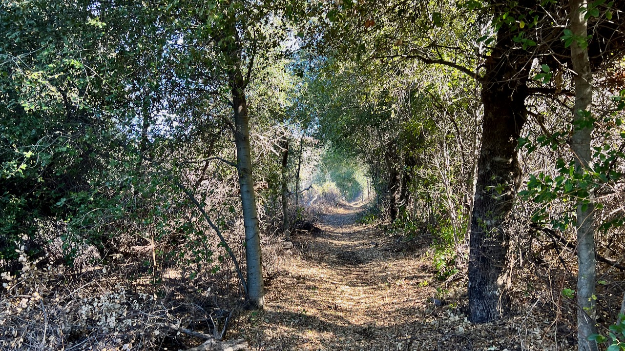 Trail View