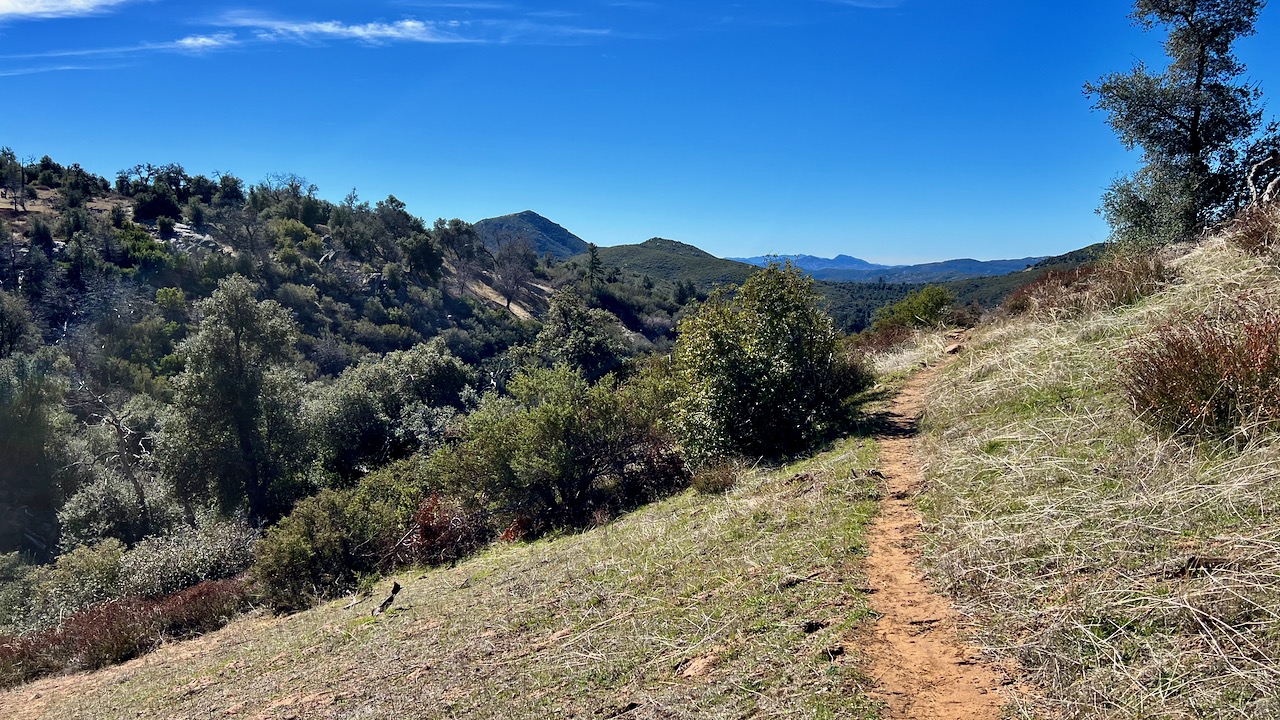 Trail View