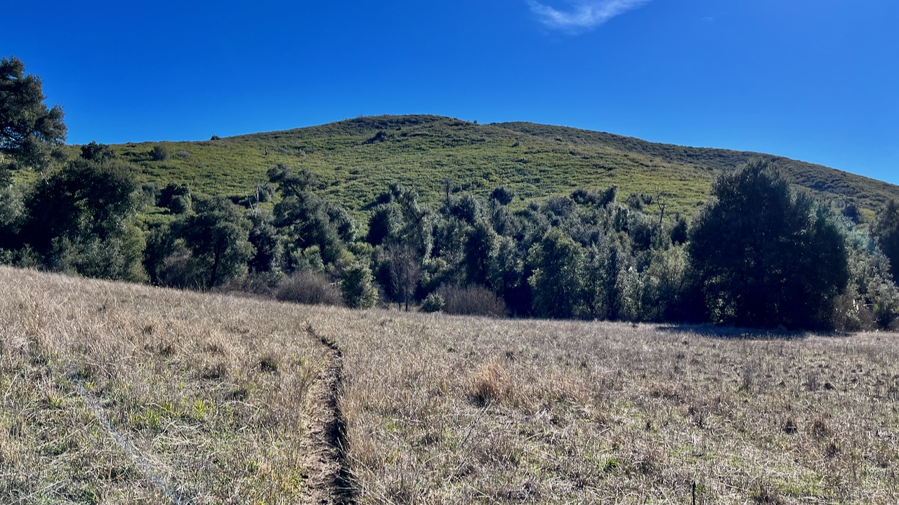 Trail View