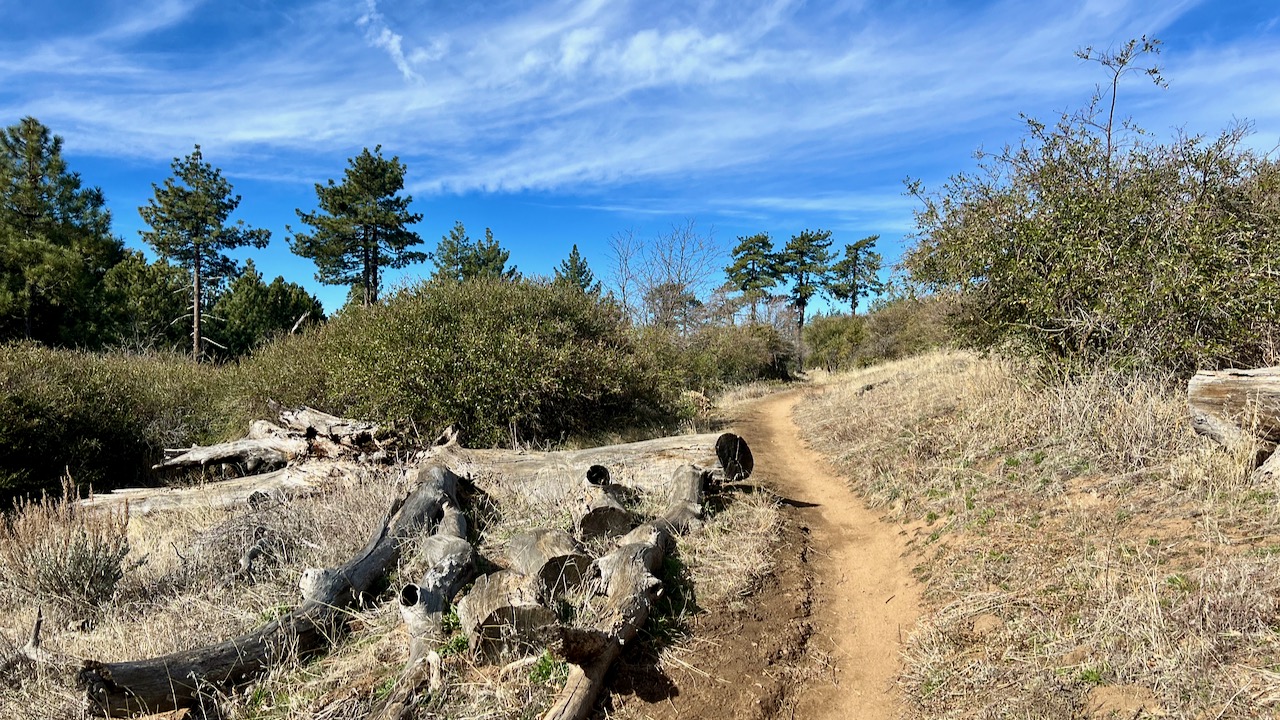 Trail View