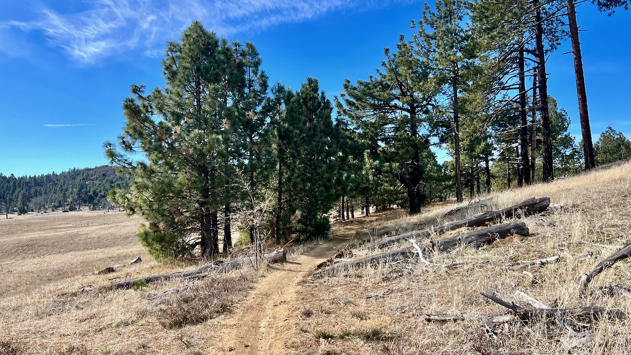 Trail View