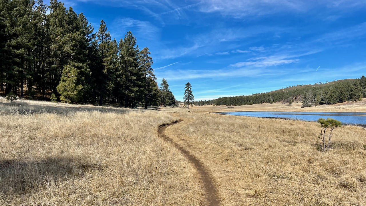 Trail View