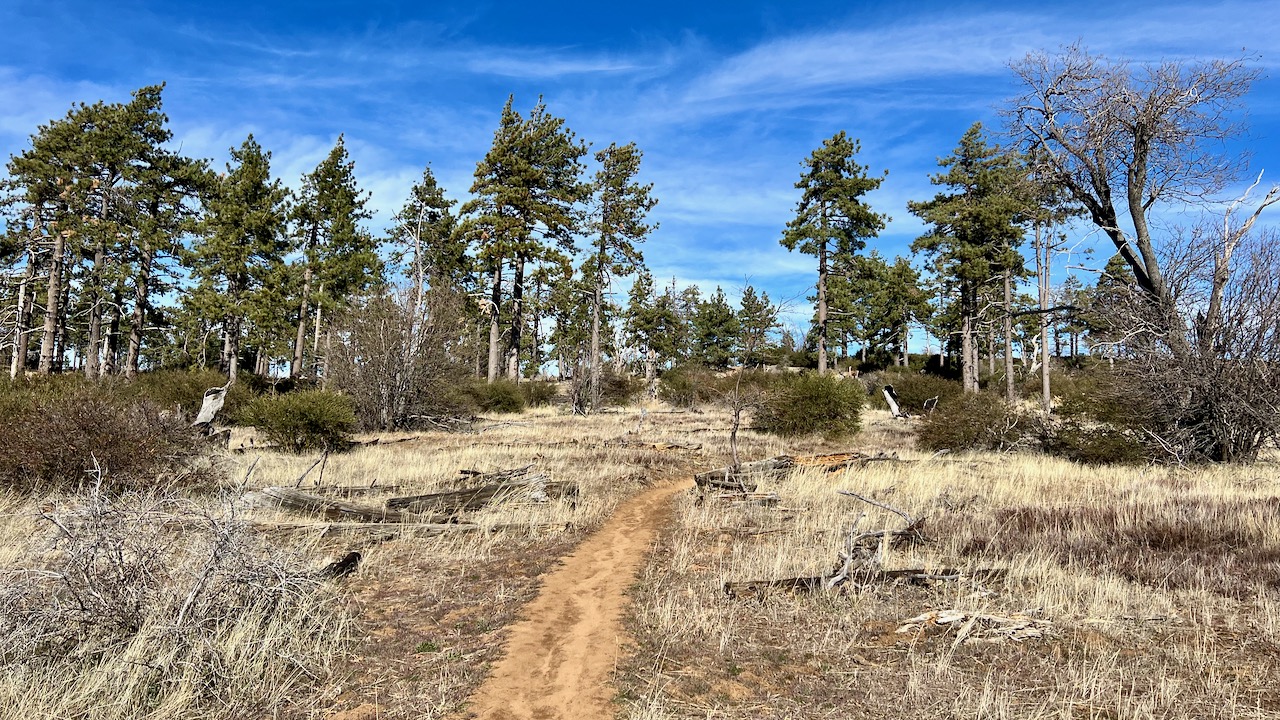 Trail View