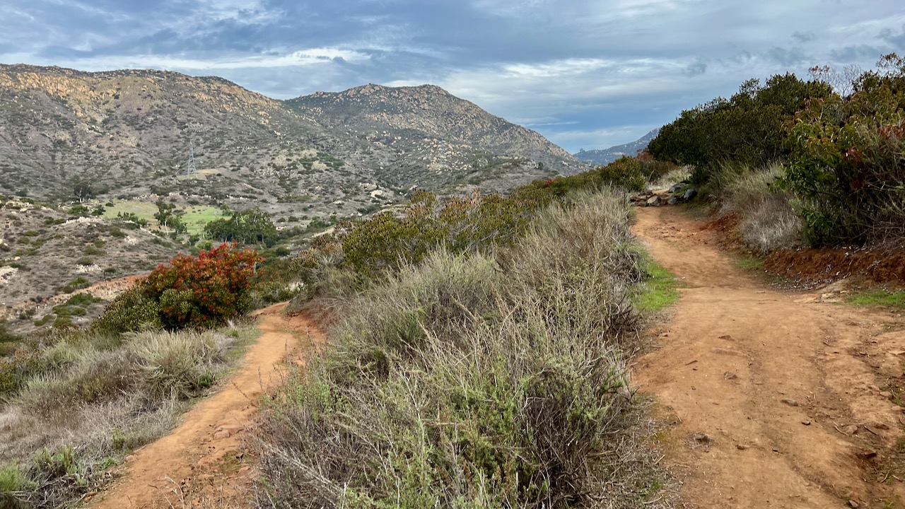 Trail View