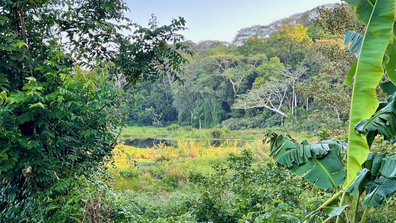 Trail View