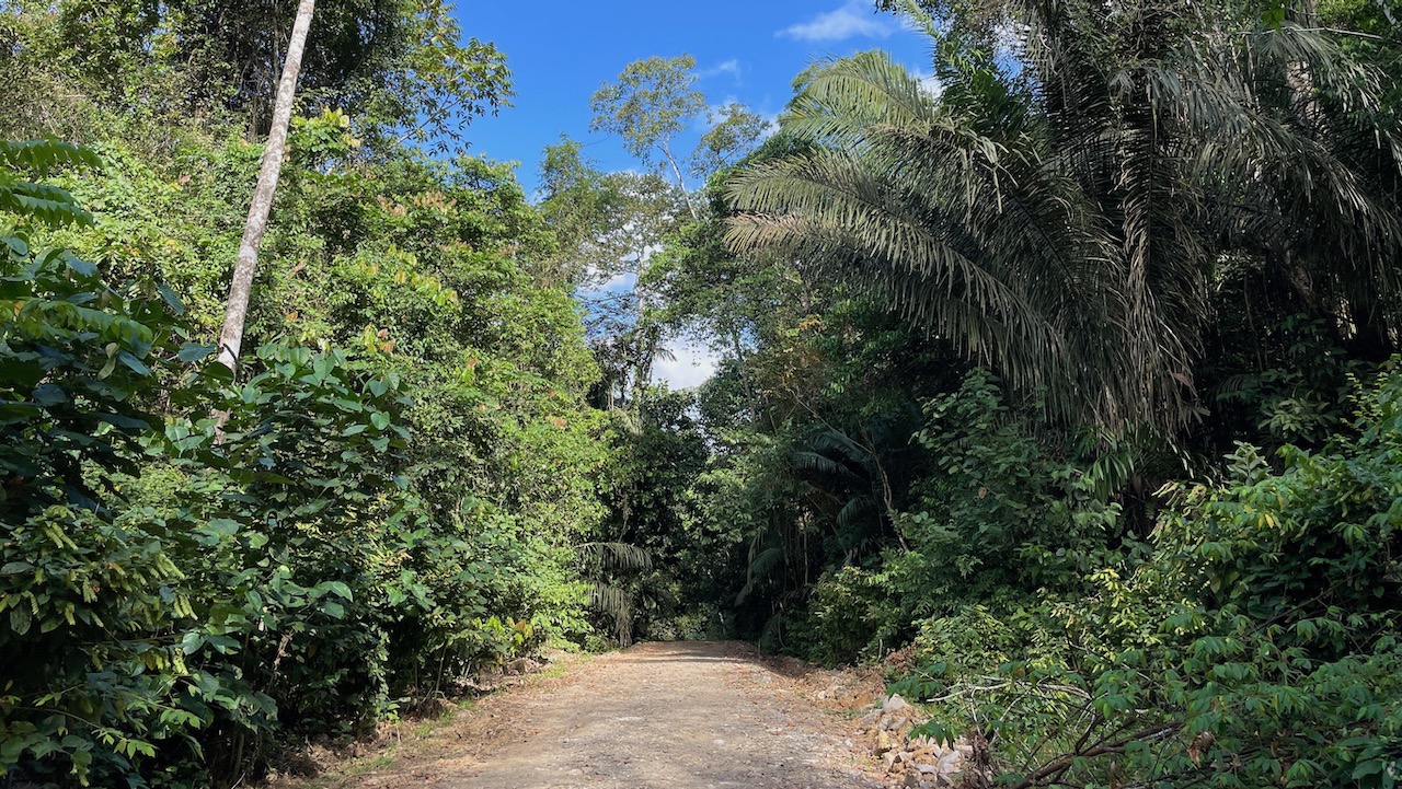 Trail View